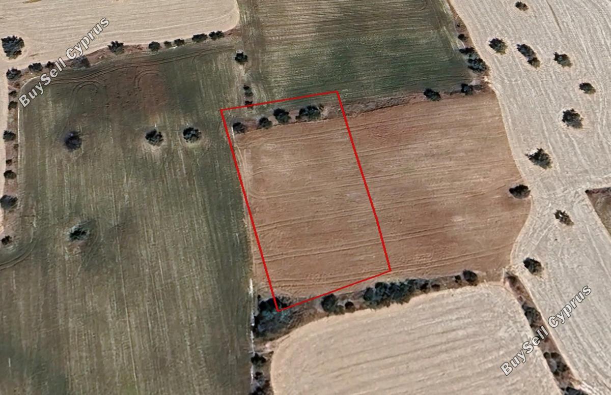 land for sale anglisides larnaca 7953371 image 13158596