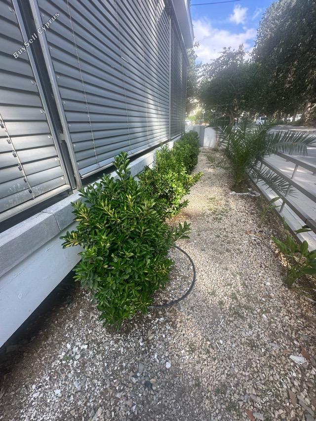 3 bedroom apartment for rent strovolos nicosia 8716471 image 16683314