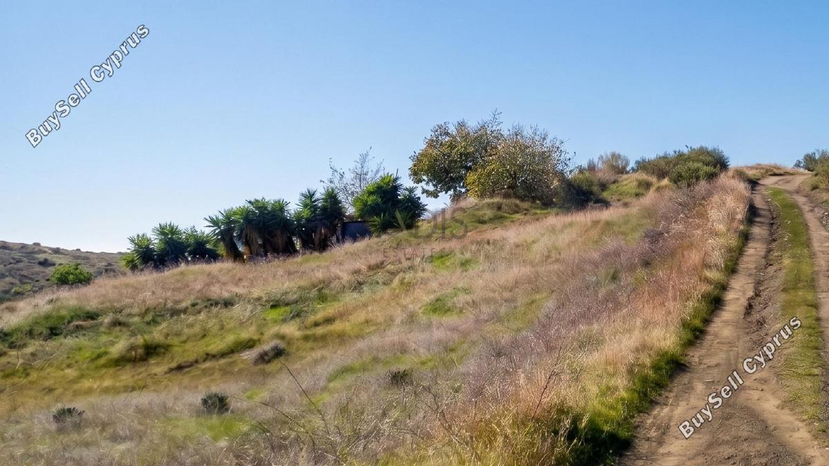 land for sale parekklisia limassol 8880471 image 17272311