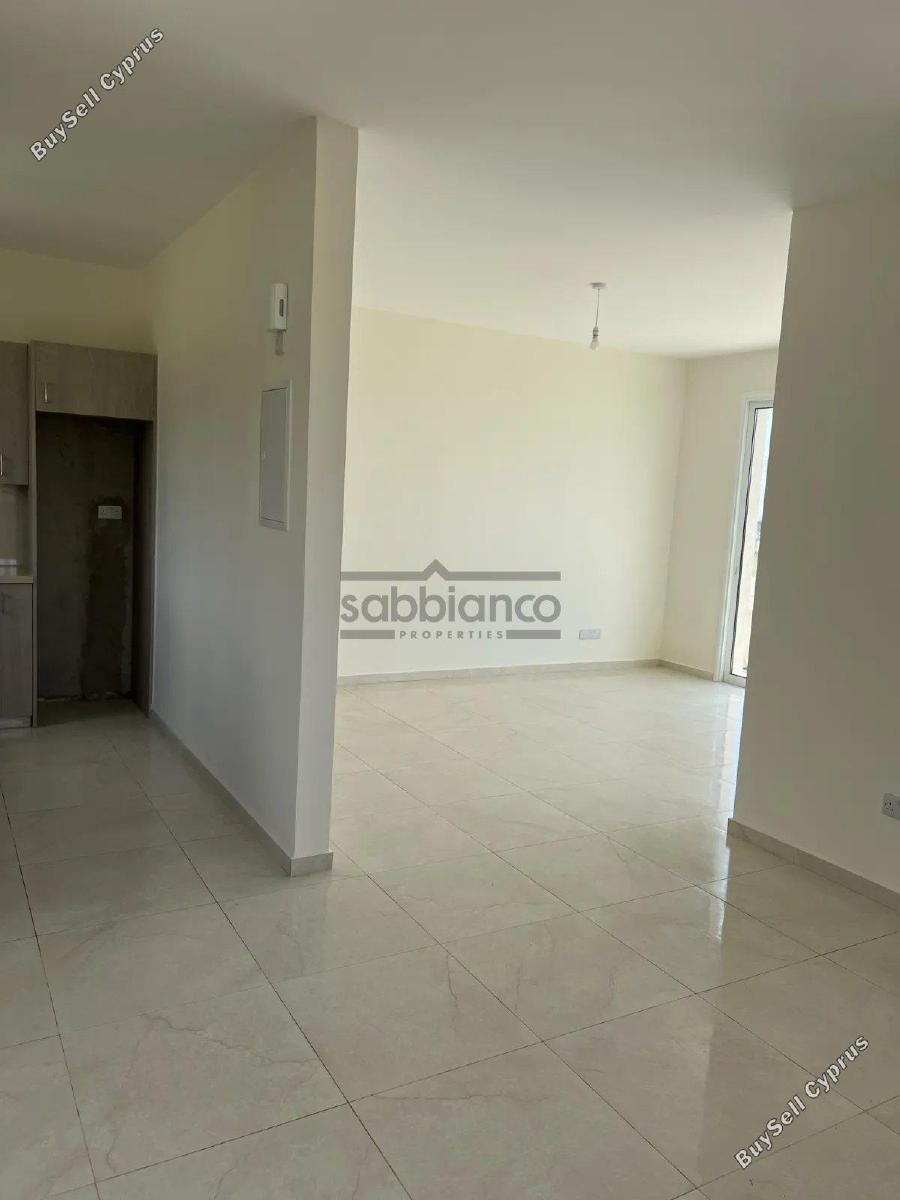 3 bedroom detached house for sale coral bay paphos 8737571 image 16356072