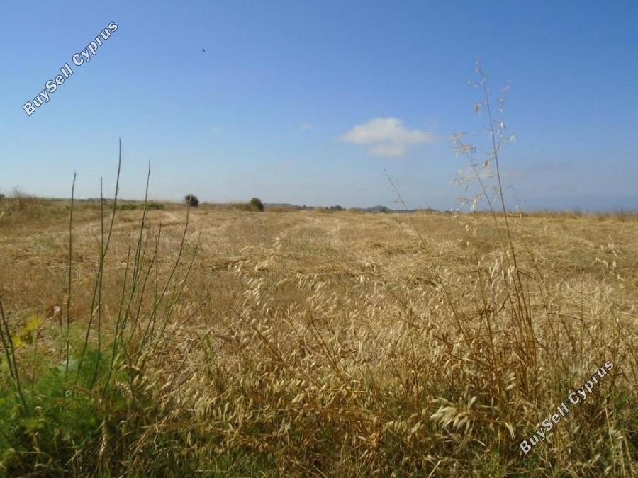 land for sale kathikas paphos 1355571 image 5637282