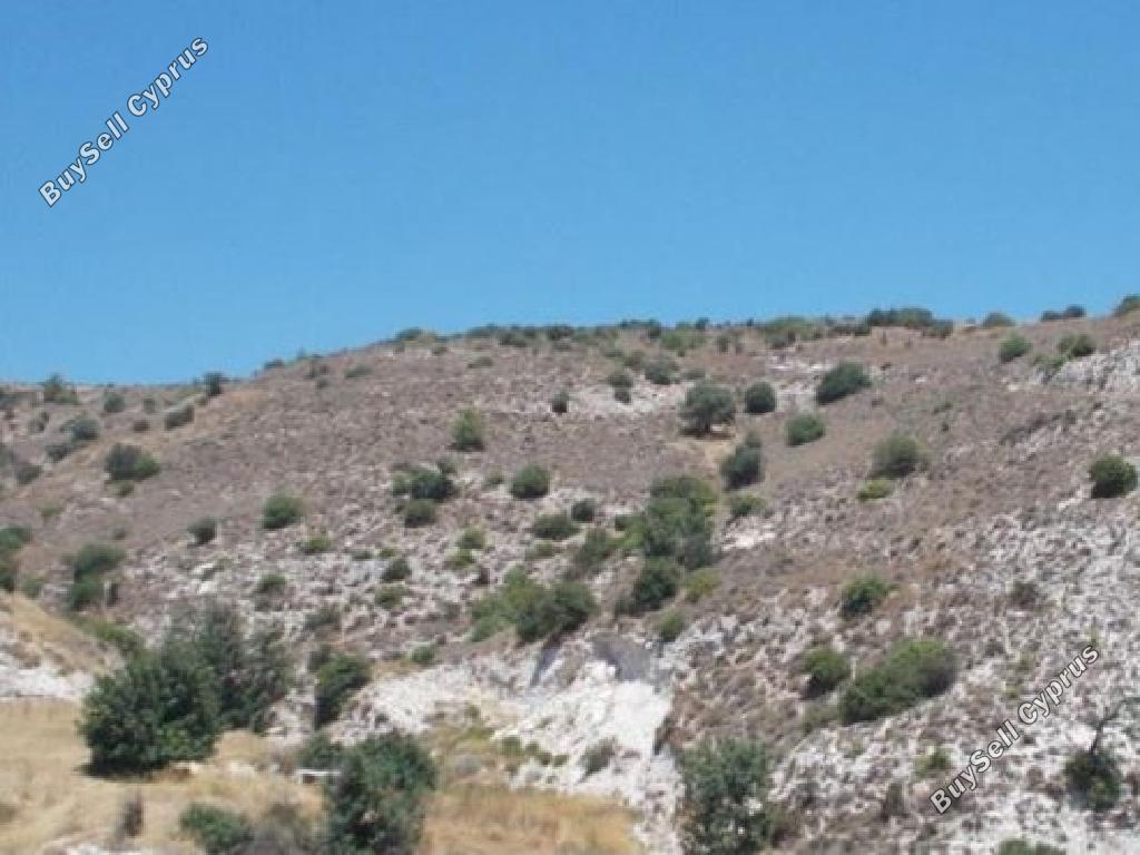 land for sale nata paphos 826571 image 15599577