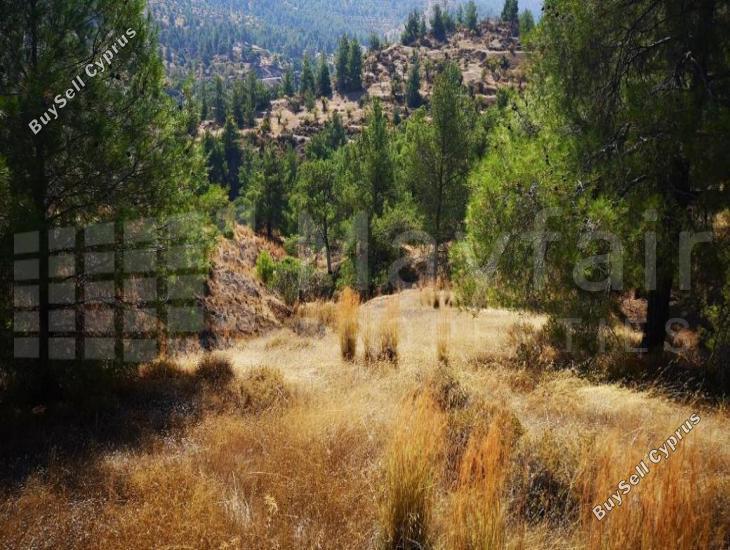plot for sale agios theodoros soleas nicosia 7871571 image 11381569