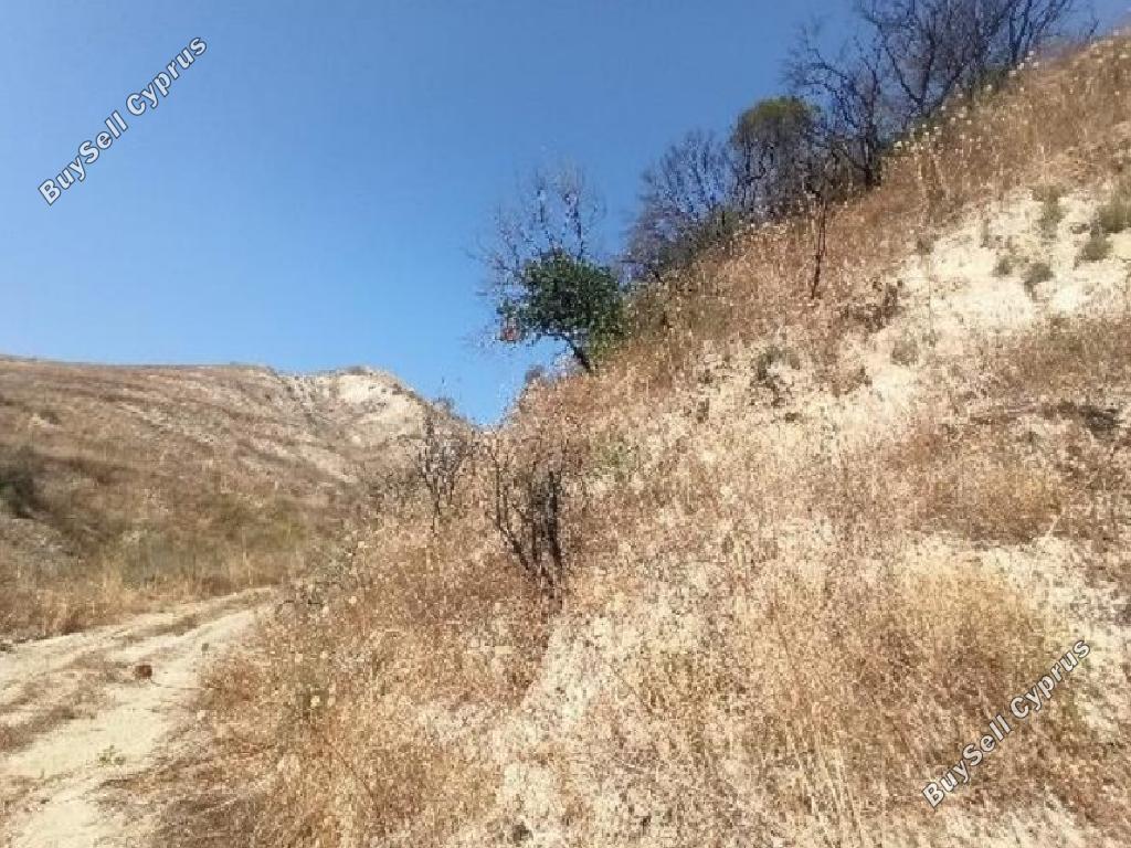 13379 SQM Land for sale in Giolou, Paphos 15599573