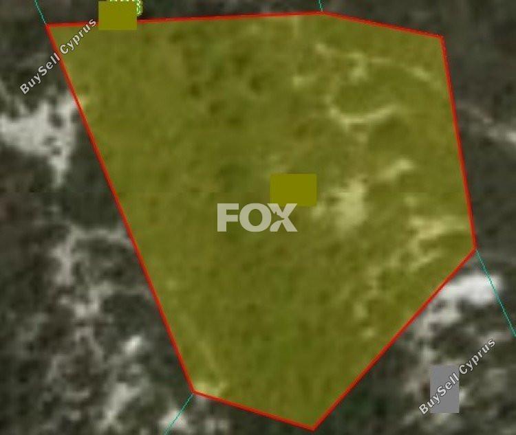 land for sale pissouri limassol 1146671 image 5494873