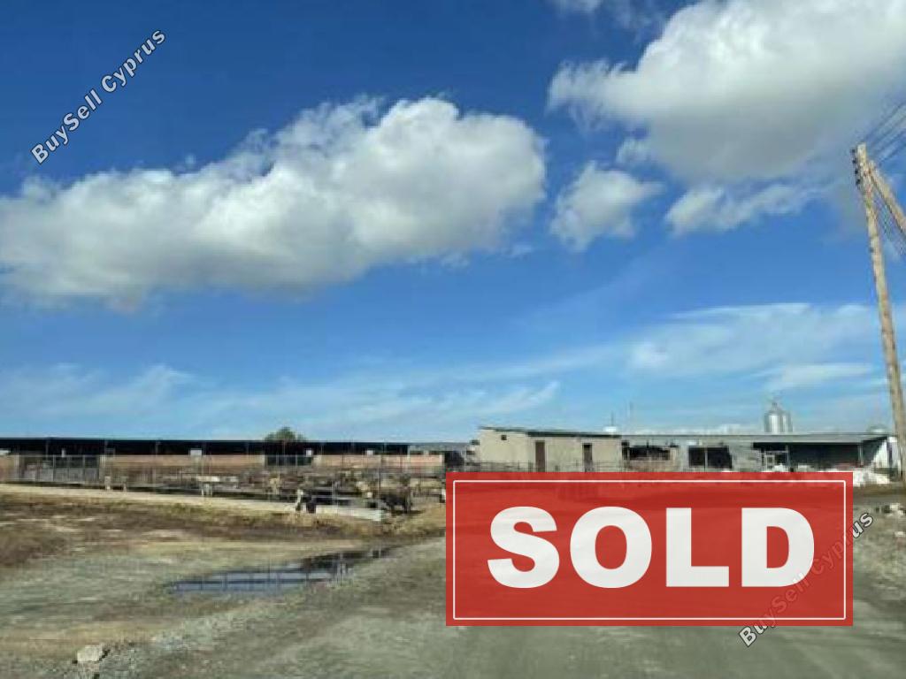 land sold athienou larnaca 1009671 image 1010250