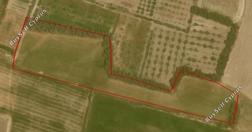 15497 SQM Land for sale in Timi, Paphos 12564033