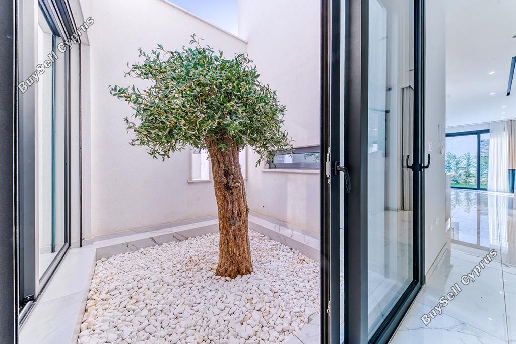 4 bedroom detached house for sale germasogeia limassol 8698771 image 16208461