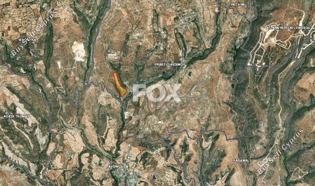 62877 SQM Land for sale in Prastio Avdimou, Limassol 5575630
