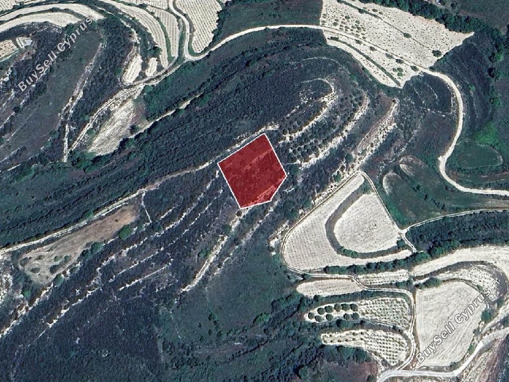 land for sale pachna limassol 8526771 image 15595021