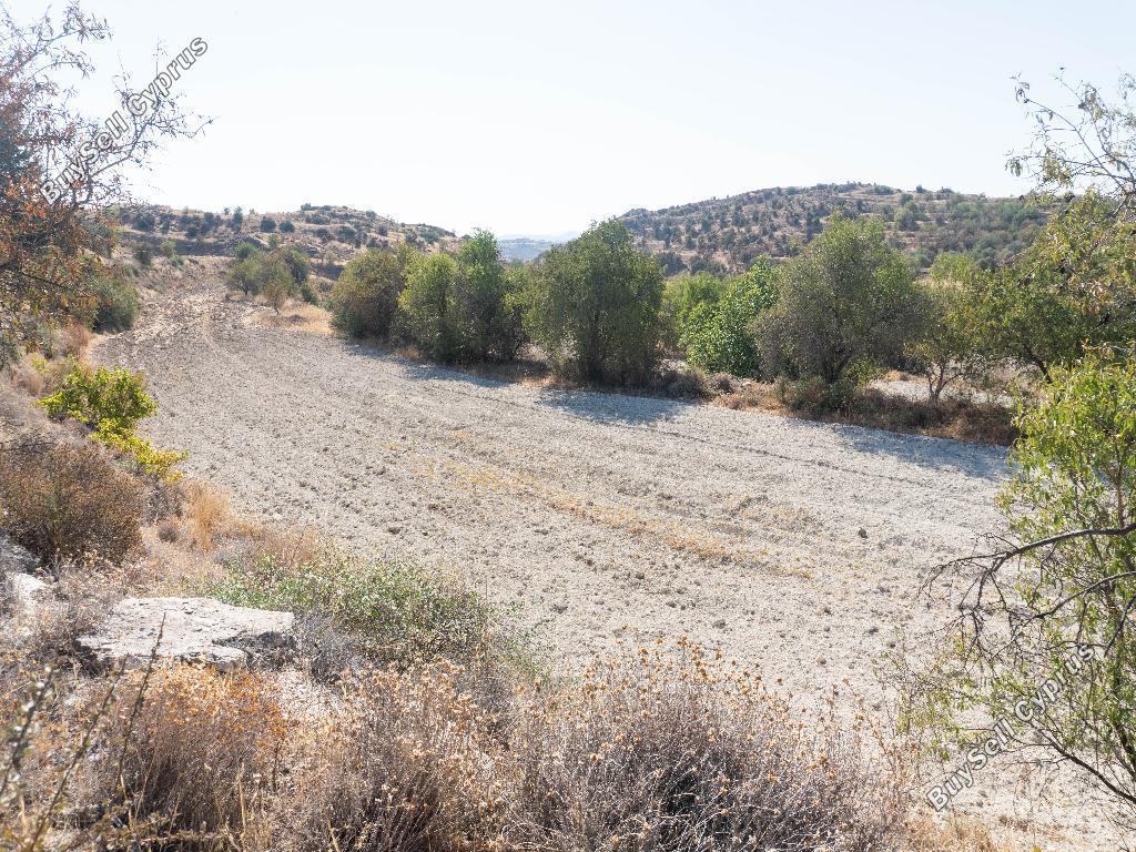 land for sale pera orinis nicosia 8791771 image 16683886