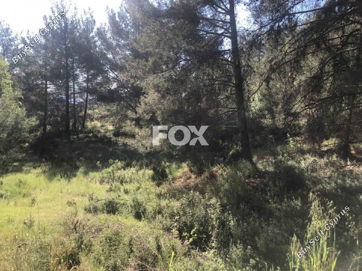 land for sale pera pedi limassol 1147771 image 5546318