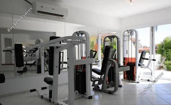 1 bedroom apartment for sale anarita paphos 8945871 image 17692420