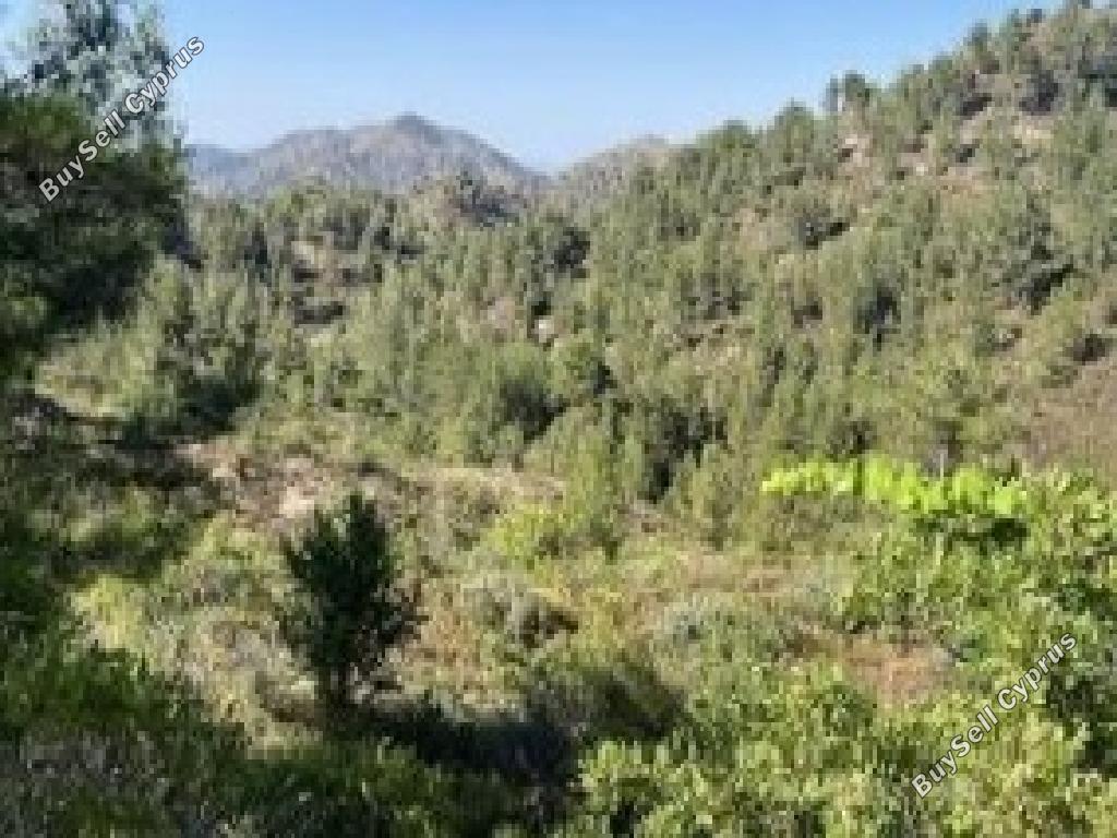 land for sale palaichori oreinis nicosia 1751871 image 15597934