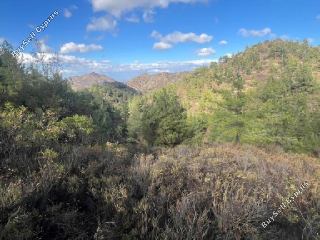 land for sale palaichori oreinis nicosia 1751871 image 17694653