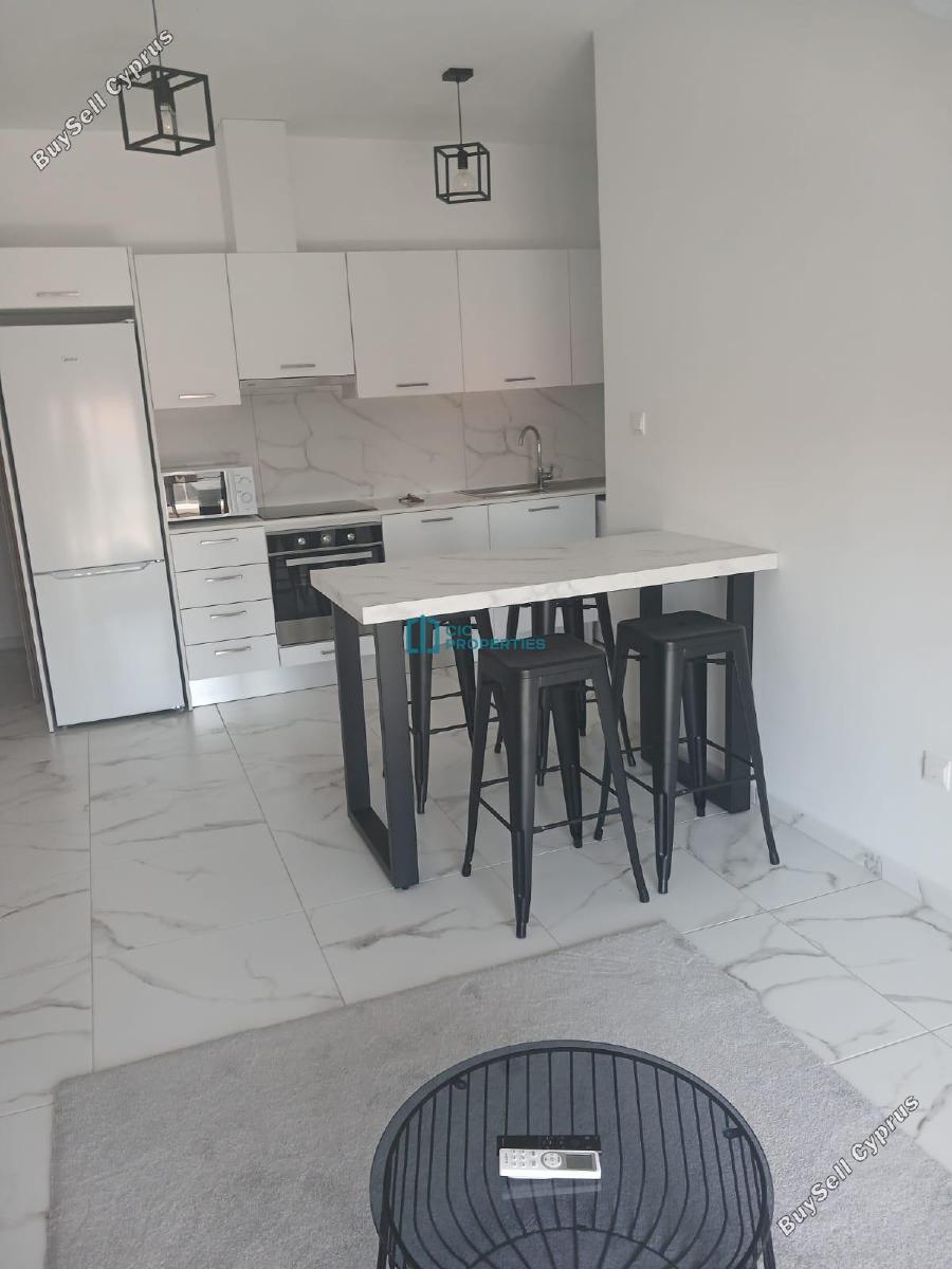 1 bedroom apartment for rent tsakilero larnaca 8745971 image 16564341