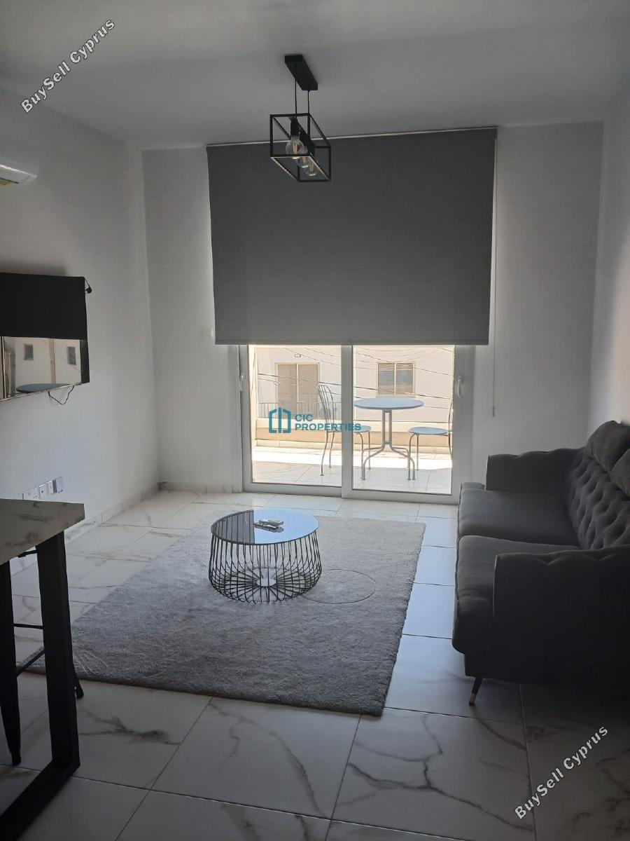 1 bedroom apartment for rent tsakilero larnaca 8745971 image 16564343