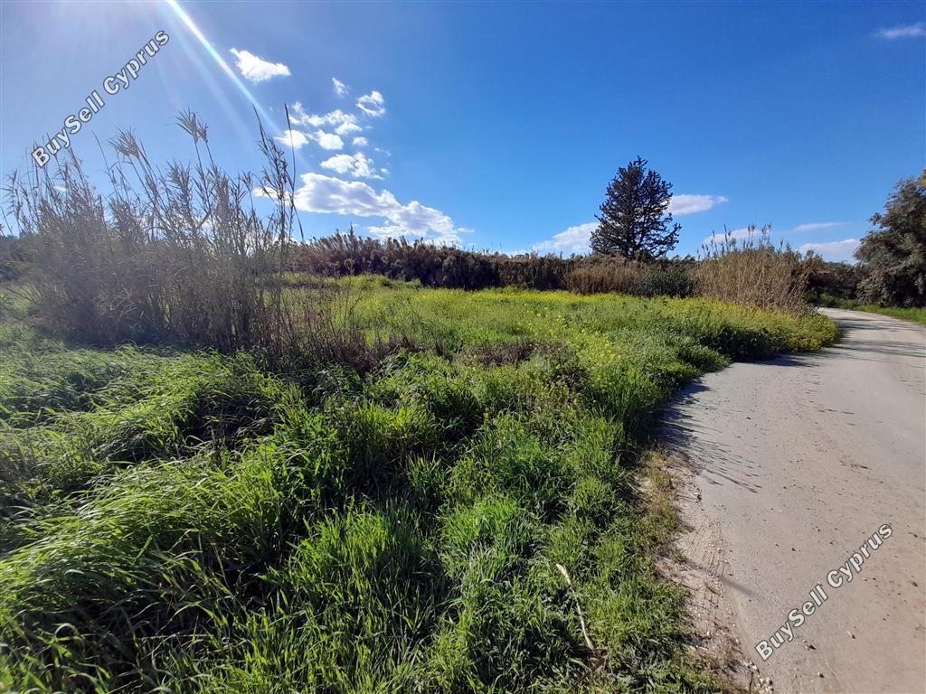 plot for sale agia varvara nicosias nicosia 1061971 image 16159254