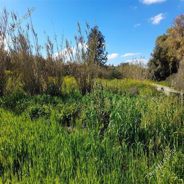 plot for sale agia varvara nicosias nicosia 1061971 image 16159258