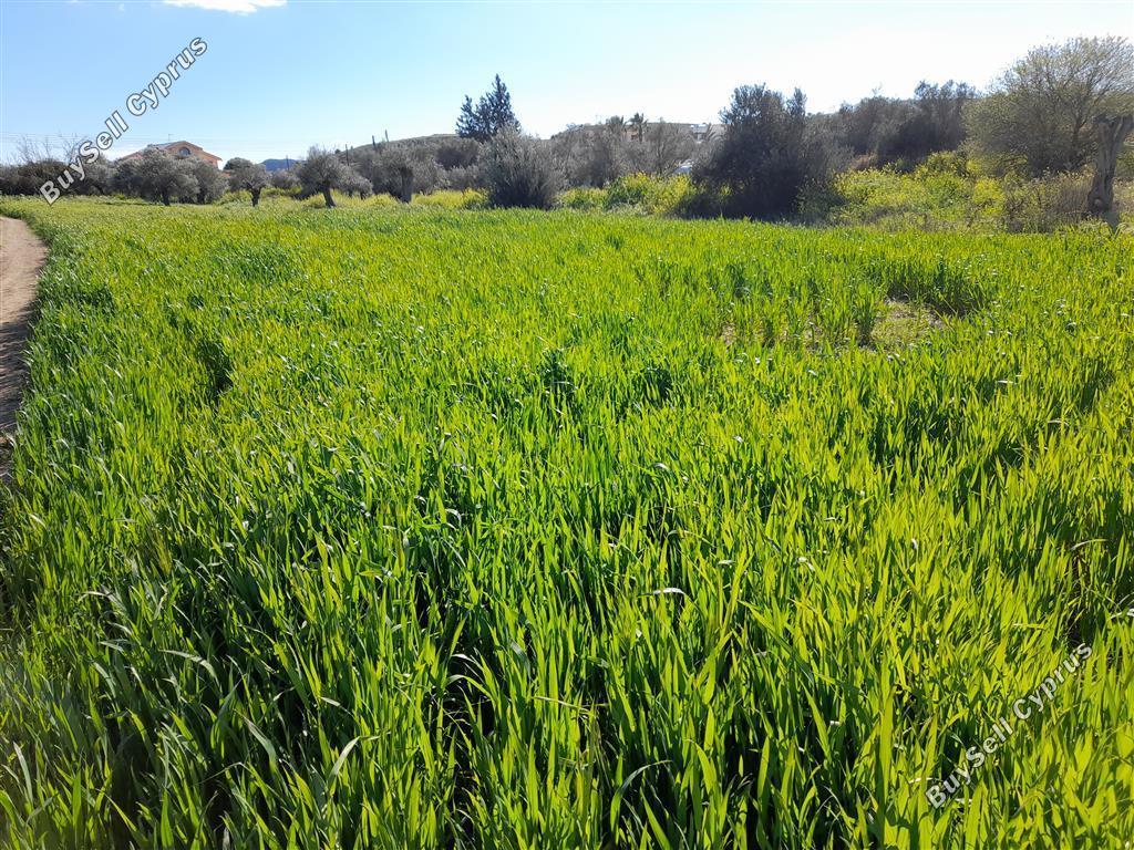 plot for sale agia varvara nicosias nicosia 1061971 image 16159266