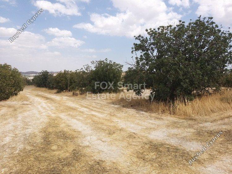 plot for sale alampra nicosia 1150971 image 5125182