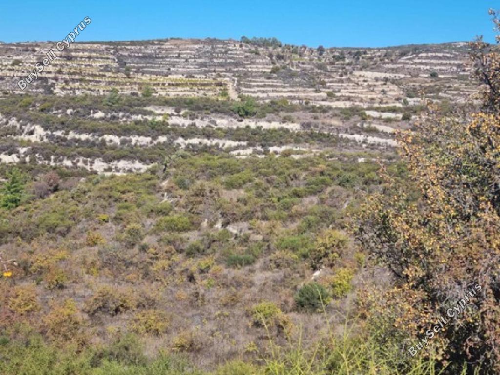 land for sale vouni limassol 1425081 image 17364655
