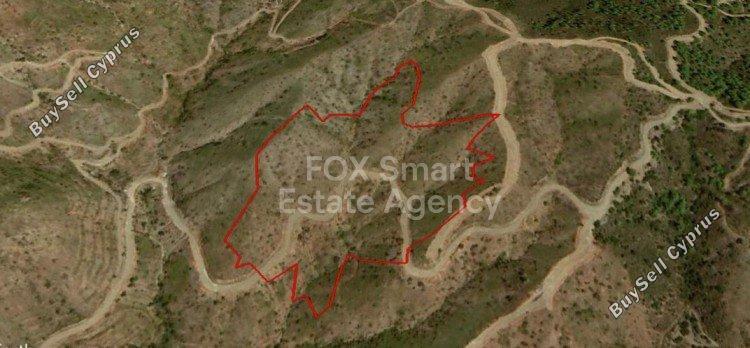 land off market ora larnaca 1150081 image 5745584