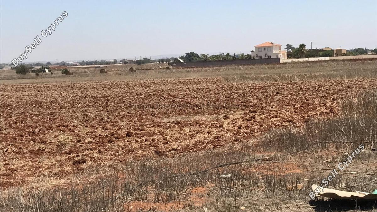 plot for sale avgorou famagusta 7543081 image 9805825