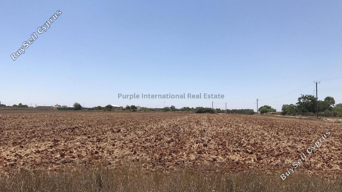 plot for sale avgorou famagusta 7543081 image 9805829