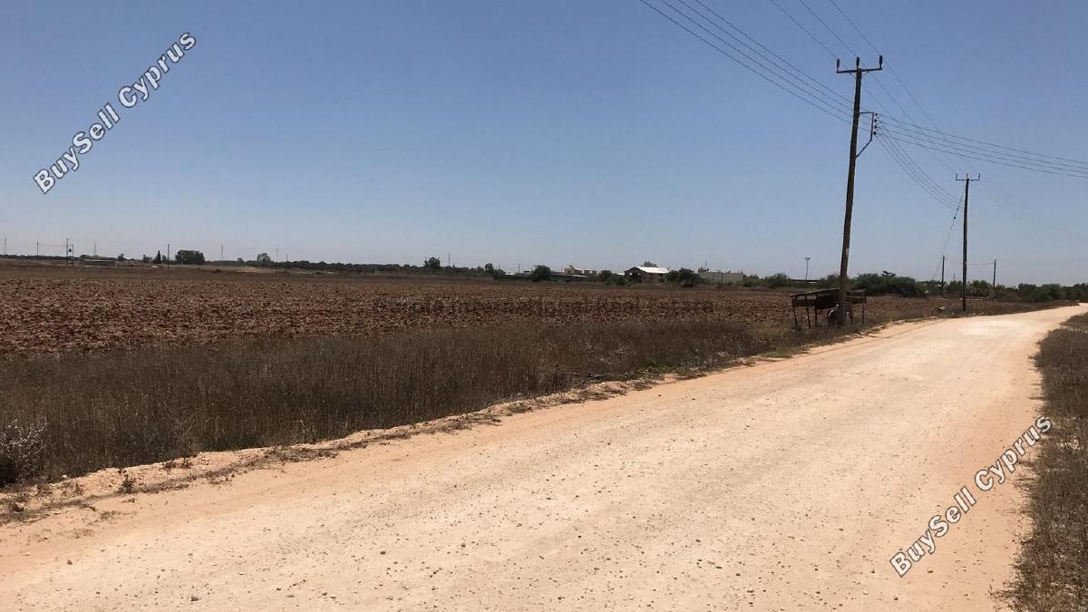 plot for sale avgorou famagusta 7543081 image 9805830
