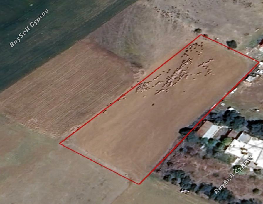 2987 SQM Plot for sale in Agioi Trimithias, Nicosia 16159853