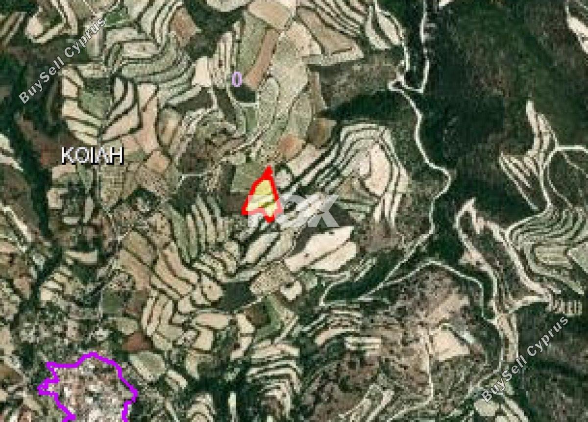 land for sale koili paphos 1161181 image 10031876