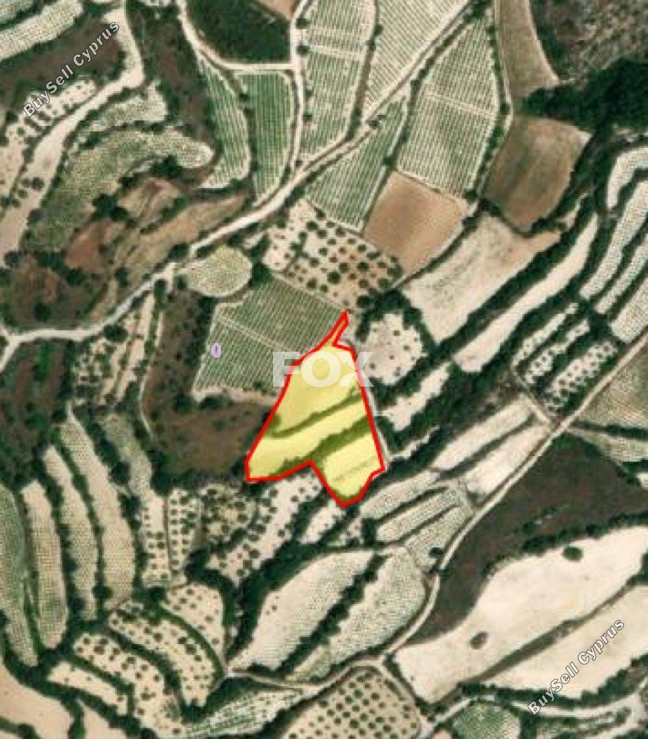 land for sale koili paphos 1161181 image 10031878