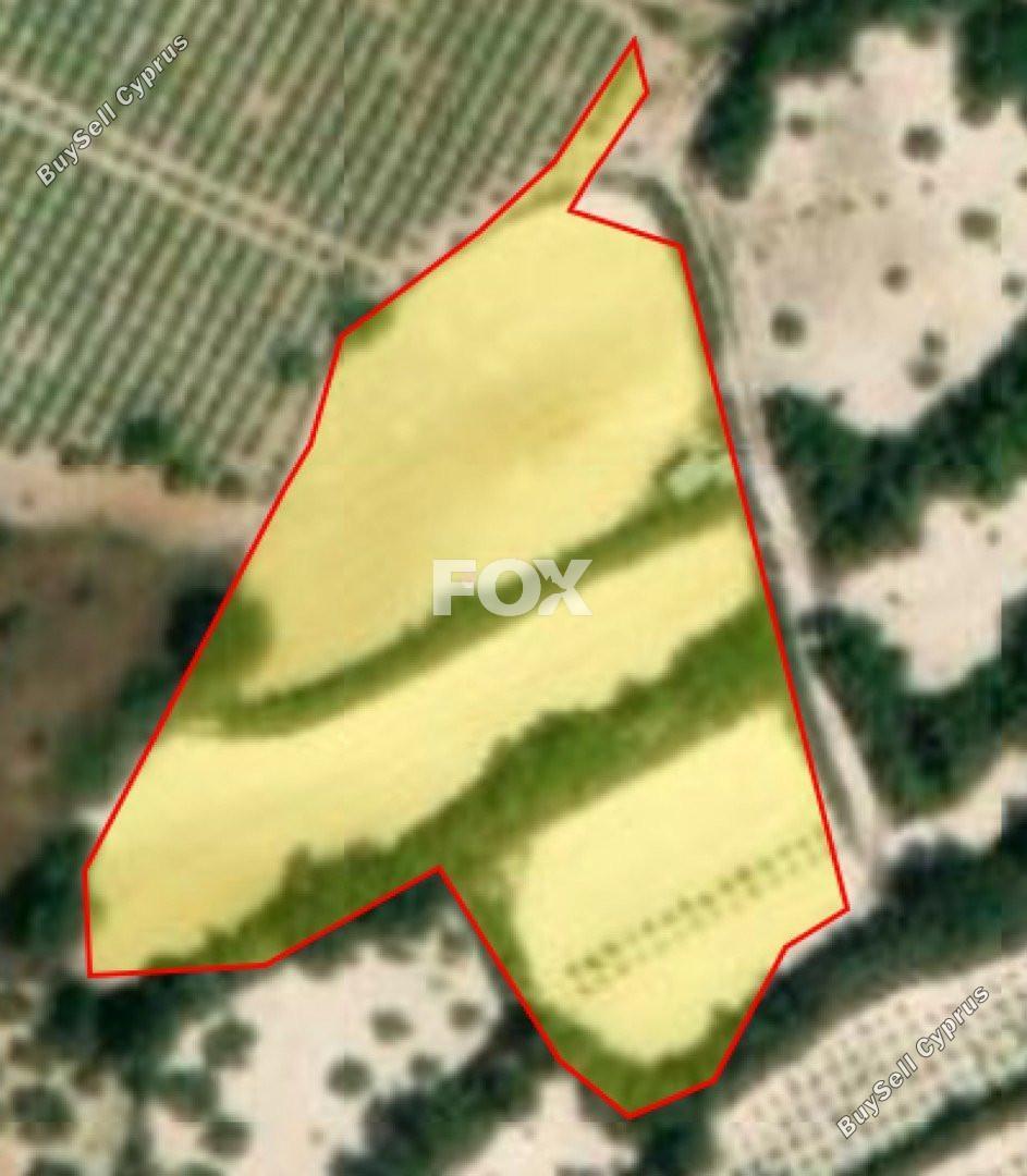 land for sale koili paphos 1161181 image 10031880