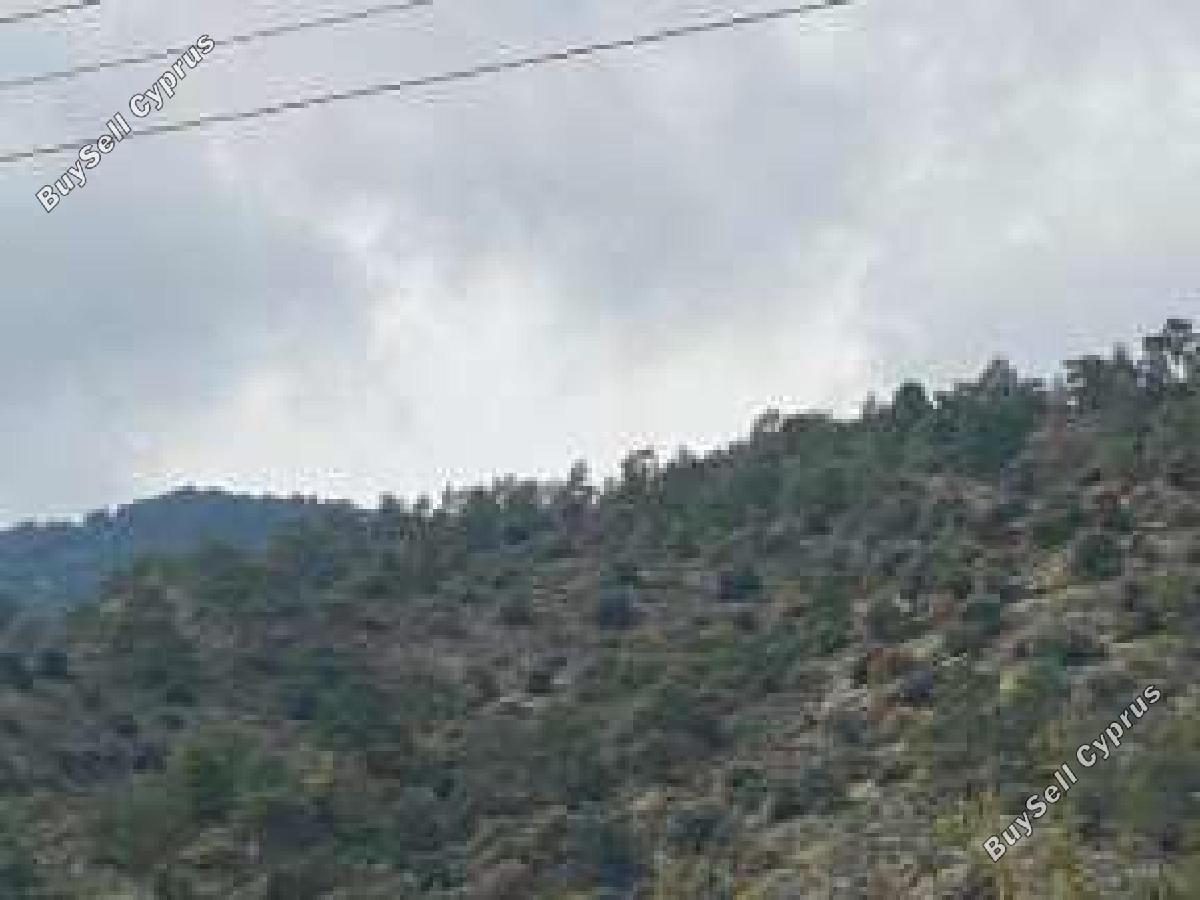 land for sale palaichori morfou nicosia 8716181 image 16294836