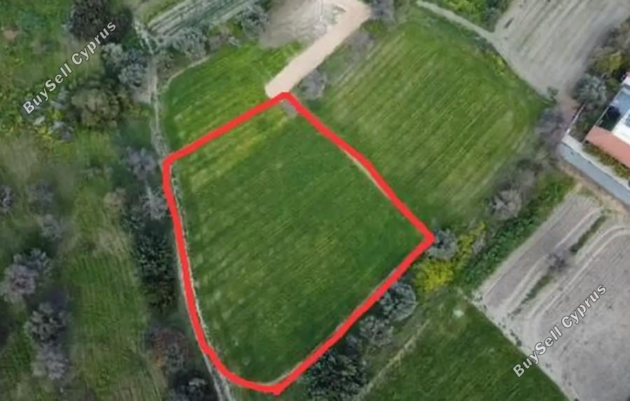 land for sale pyrgos limassol limassol 8522181 image 16557254