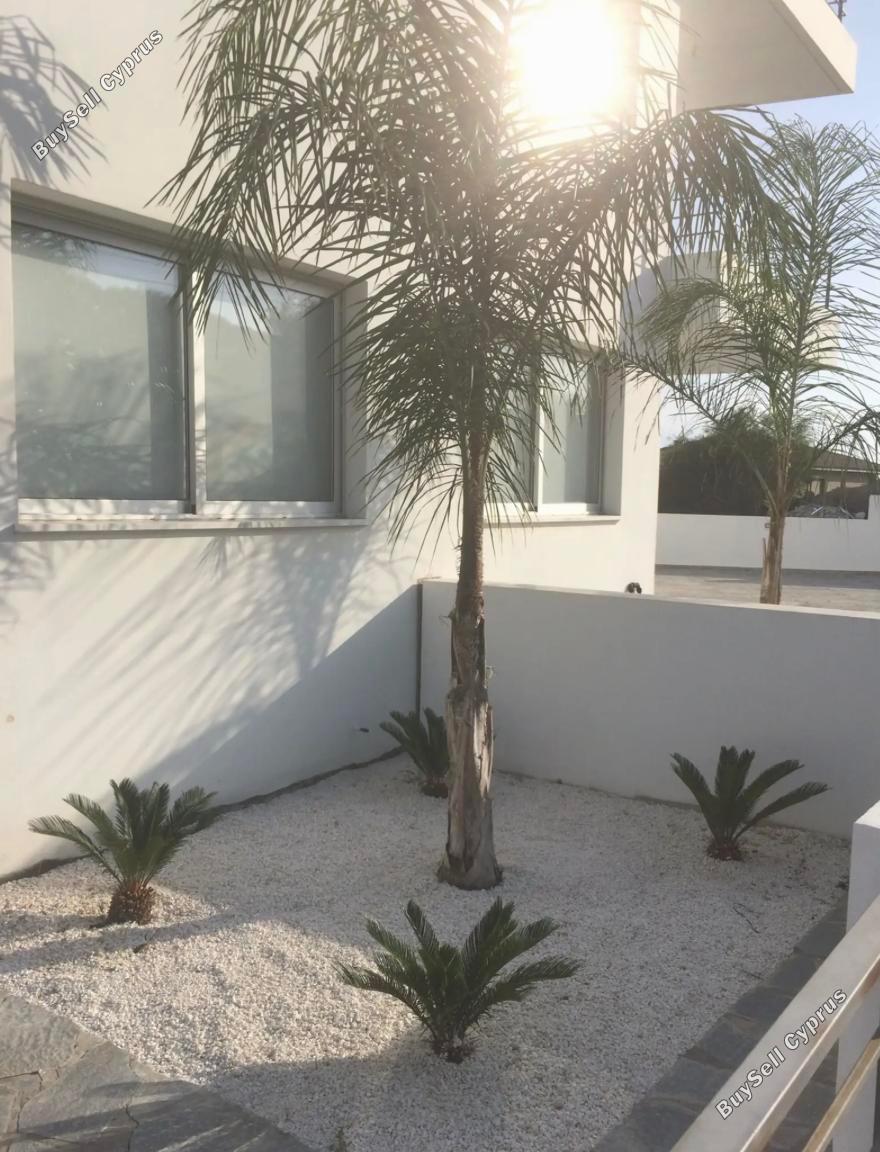 studio apartment for rent makedonitissa nicosia 8495181 image 16336786
