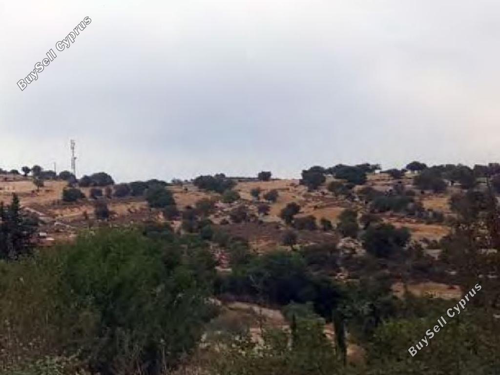 6355 SQM Land for sale in Dora, Limassol 15598765