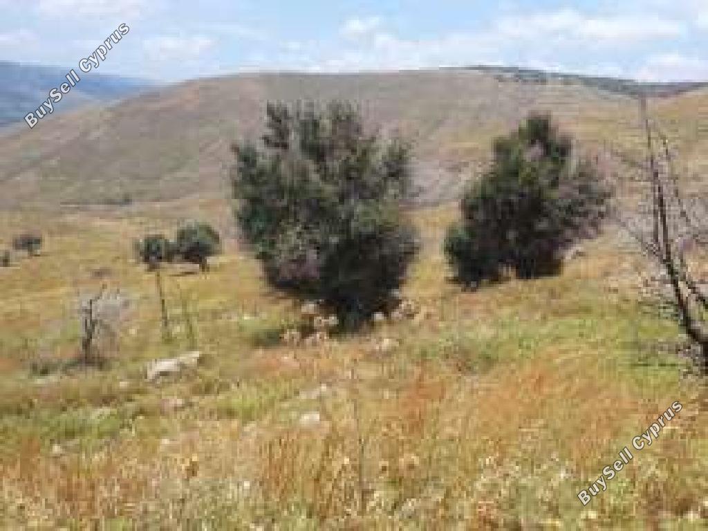 7024 SQM Land for sale in Pentalia, Paphos 15596856