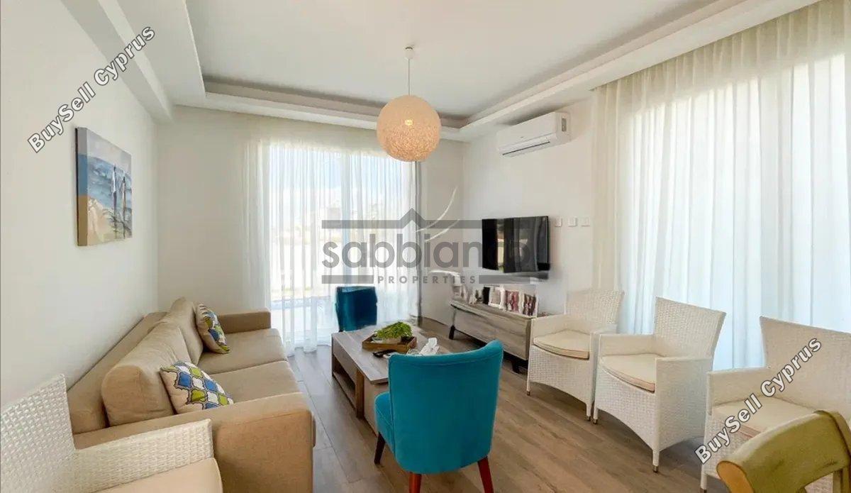 3 bedroom detached house for sale kapparis famagusta 8738381 image 16361490