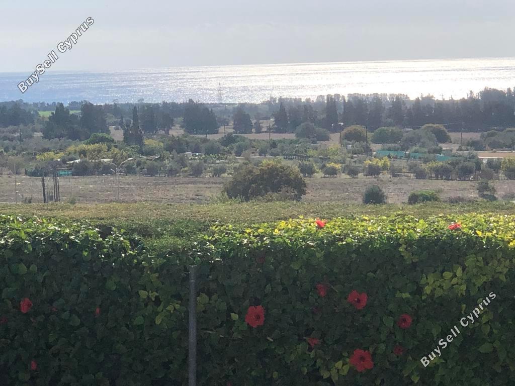 4 bedroom detached house for sale koloni paphos 8199381 image 14042896
