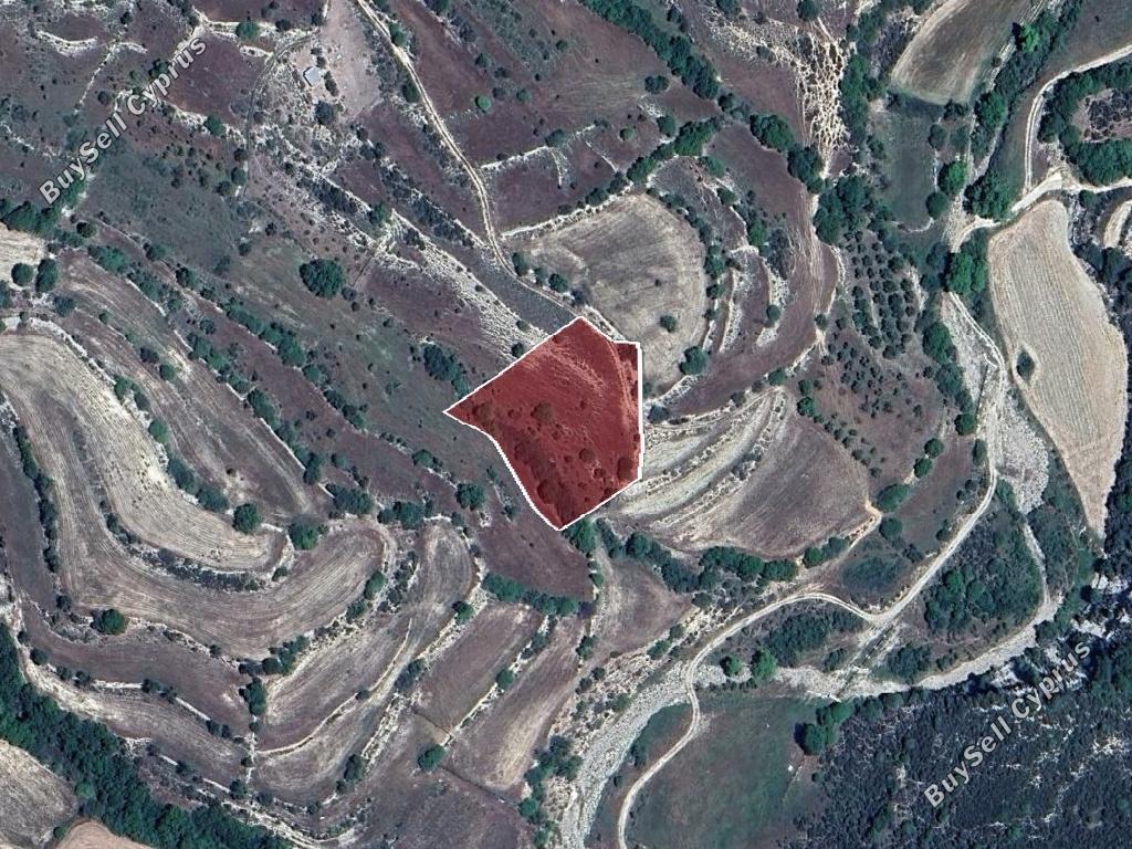 land for sale dora limassol 8140381 image 15595861
