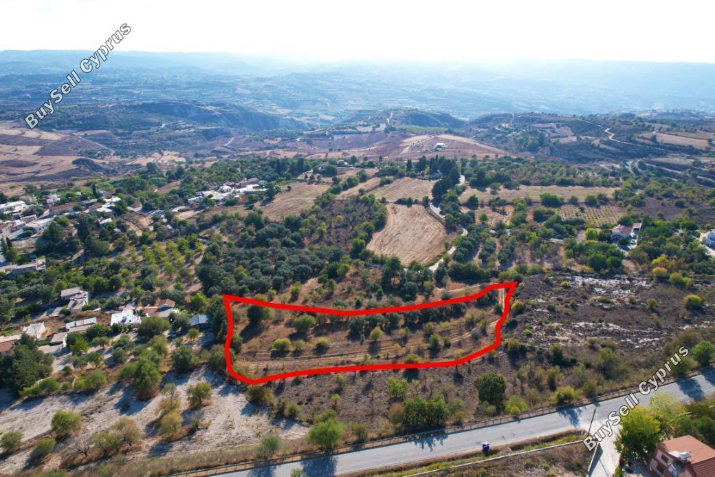 land for sale drynia paphos 984381 image 12636253