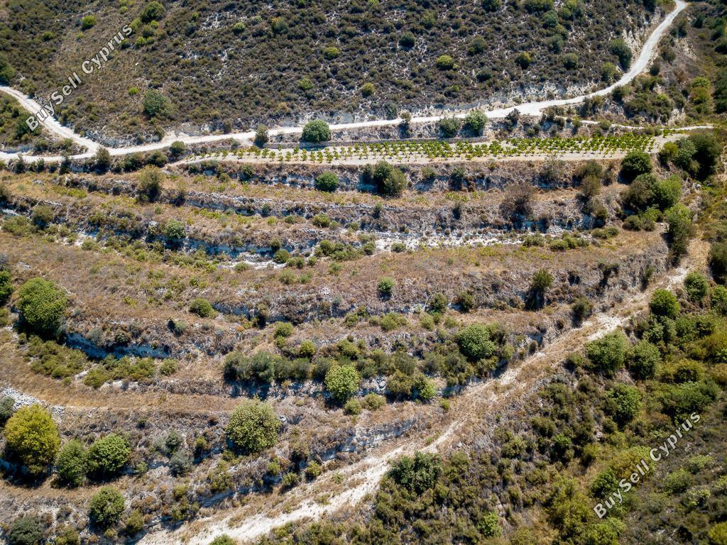 land for sale pachna limassol 1336381 image 15600418