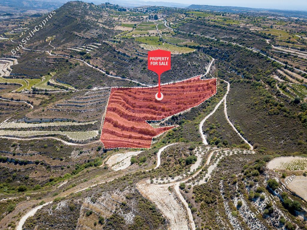 land for sale pachna limassol 1336381 image 15600425