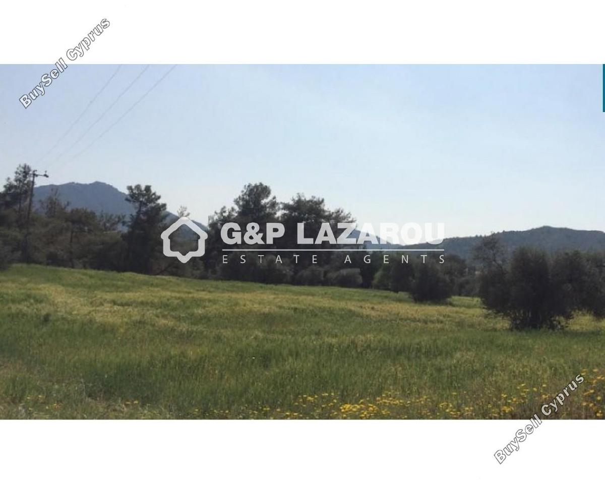 land for sale pyrga larnaca 1689381 image 6018145