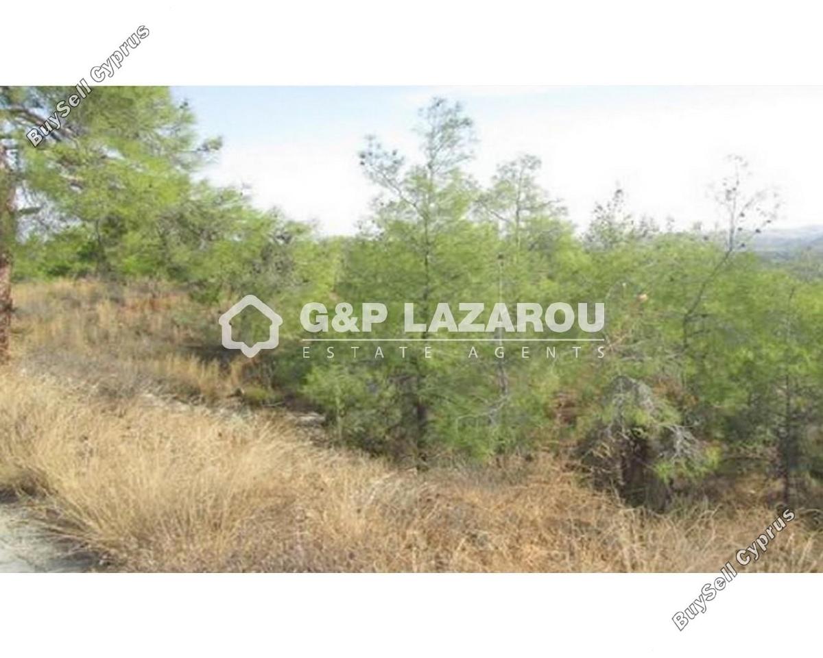 plot for sale kornos larnaca 1685381 image 14104927