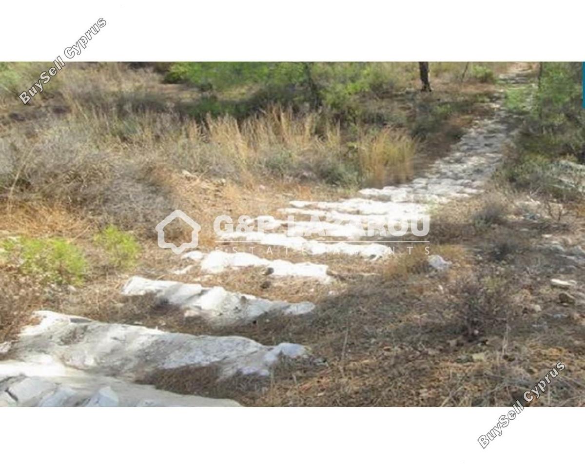 plot for sale kornos larnaca 1685381 image 14104931