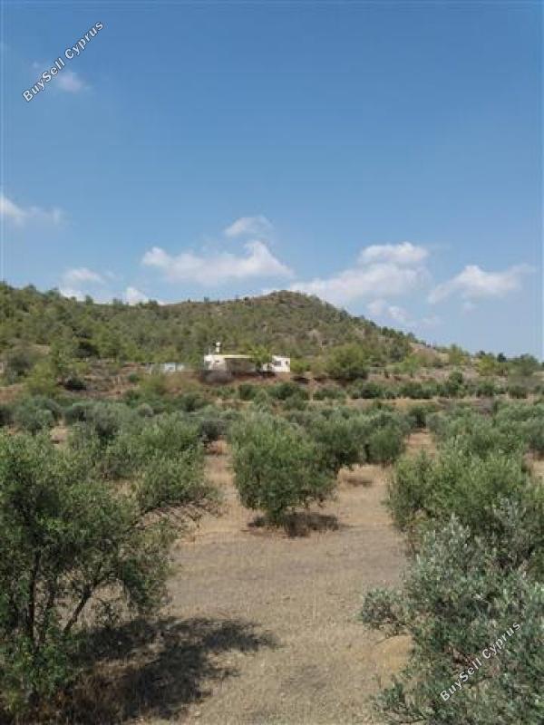 3 Bedroom Detached house for sale in Alampra, Nicosia 16162328