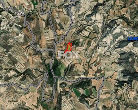 land for sale lemona paphos 8972481 image 17893810